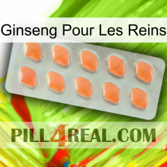 Ginseng For Kidney 26